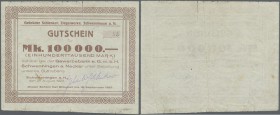 Schwenningen, Gebrüder Schlenker Ziegelwerke, 100 Tsd. Mark, 21.8.1923, vollständig gedruckter Gutschein auf Gewerbebank, Erh. IV-, Ausgabestelle wede...