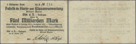 Ulm-Einsingen, Fabrik für Horn- und Klauenverwertung Alfrd Maier, 5 Mrd. Mark, 27.10.1923, Lit. B (nicht bei Keller und Karau verzeichnet), Erh. III