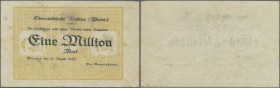 Waldsee, Oberamtsstadt, 1 Million Mark, 21.8.1923, Unterschriftszeile mit ”Der Gemeinderat”, einseitig gedruckter Schein ohne KN und Unterschrift mit ...