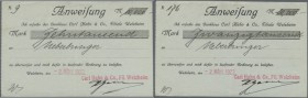 Welzheim, Bankhaus Carl Hahn & Co., 10, 20 Tsd. Mark, 2.3.1923, Eigenanweisungen, Erh. II, total 2 Scheine