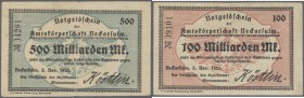 Neckarsulm, Stadt, 5, 20, 50 Mark, 15.11.1918, 8 Scheine in KN-Varianten, Erh. I, Amtskörperschaft, 1, 5 (4, Papier- und Unterdruckvarianten), 20 (2, ...