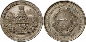 Argentinien: RIO 2 motivgleiche Stücke: Silber- und Bronzemedaille 1887 von R. Grande, anlässlich der Industrieausstellung in Rio, beide 43 mm, AG 39....