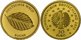 Deutschland: 20 Euro 2011 A Buche, in Originalkapsel mit Zertifikat, Stempelglanz.