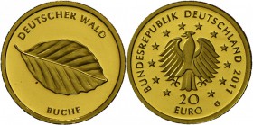 Deutschland: 20 Euro 2011 G Buche, min. Fleck, in Originalkapsel mit Zertifikat, Stempelglanz.