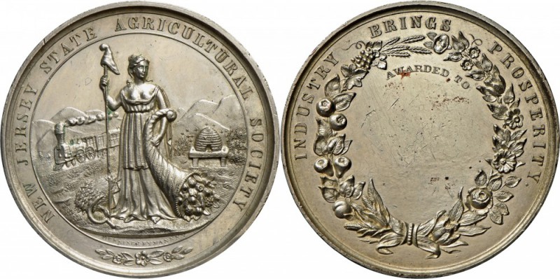 Vereinigte Staaten von Amerika: Lot 11 Stück, NEW JERSEY: Prämiensilbermedaille ...