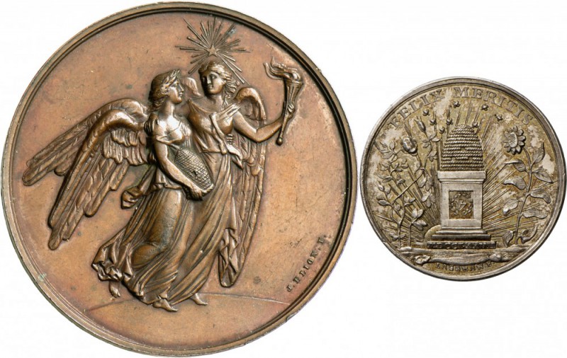 Niederlande: Lot 12 Stück, u. a. AMSTERDAM: Bronzemedaille, von Elion, zur Kunst...