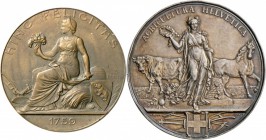 Schweiz: Lot 12 Stück, u. a. Bern: Silber- und Bronzemedaille 1904, von Homberg, für die 1759 gegründeten Gesellschaft für Ackerbau und schöne Künste,...