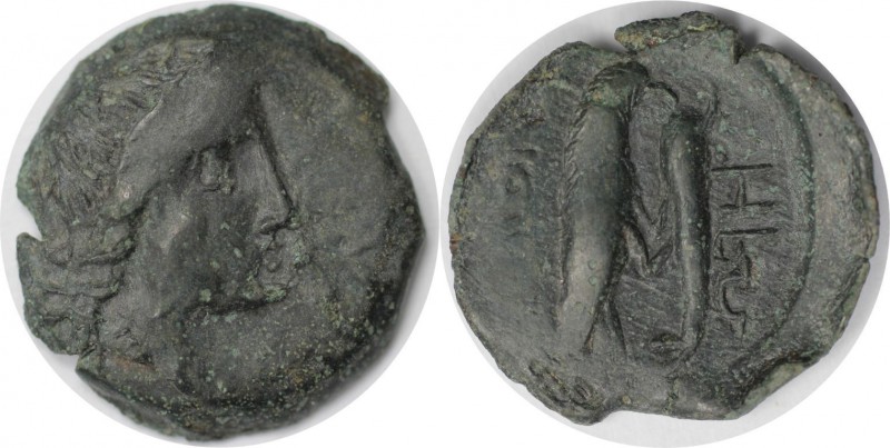 Griechische Münzen, BOSPORUS. Olbia. Bronze (3.27 g. 19 mm) 260 - 250 v. Chr, Se...