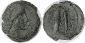 Griechische Münzen, BOSPORUS. Olbia. Bronze (3.27 g. 19 mm) 260 - 250 v. Chr, Sehr schön