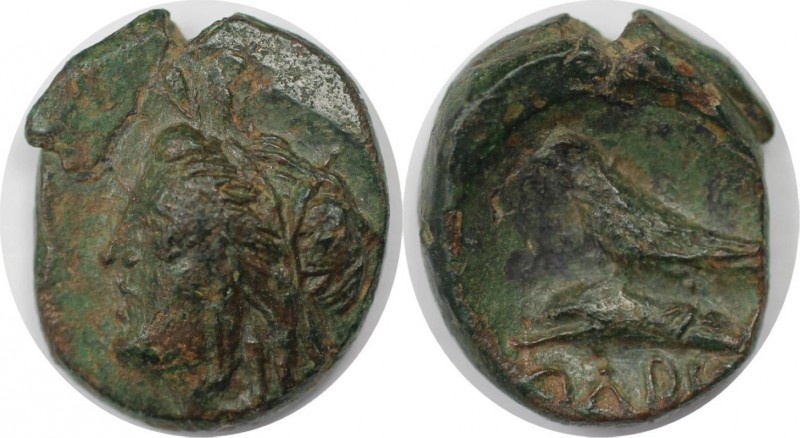 Griechische Münzen, BOSPORUS. Olbia. Bronze (1.99 g. 13.5 mm) 260 - 250 v. Chr, ...