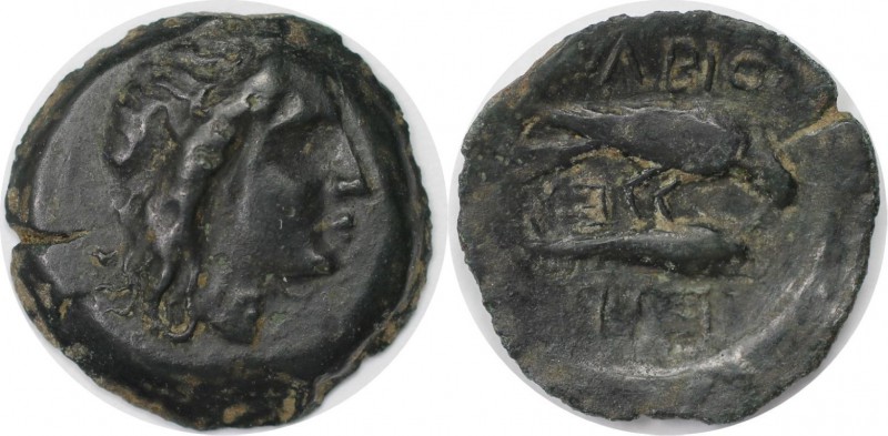 Griechische Münzen, BOSPORUS. Olbia. Bronze (3.1 g. 19 mm) 325 - 275 v. Chr, Seh...