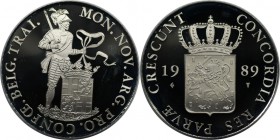 Europäische Münzen und Medaillen, Niederlande / Netherlands. Beatrix (1980 - 2013). Silberdukat 1989, 0.87 OZ. Silber. Polierte Platte