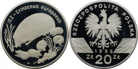 Europäische Münzen und Medaillen, Polen / Poland. Braunbrustigel. 20 Zlotych 1996, Silber. 0.92 OZ. KM Y#312. Polierte Platte