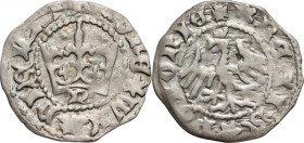 Władysław Jagiełło 1386-1434, półgrosz, Kraków, sygnatura P