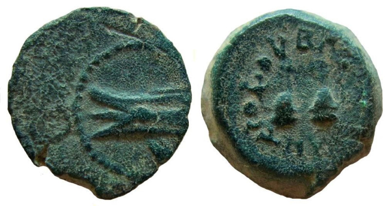 Seleukid Kingdom. Antiochos VII Euergetes, 138-129 BC. AE 12 mm. Antioch mint.
...