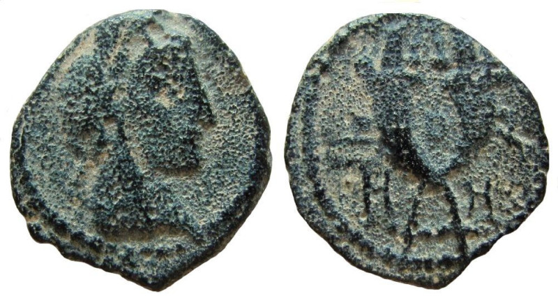 Nabataean Kingdom. Aretas IV, 9 BC-40 AD. AE 13 mm. Petra mint.

Weight: 1.72 ...