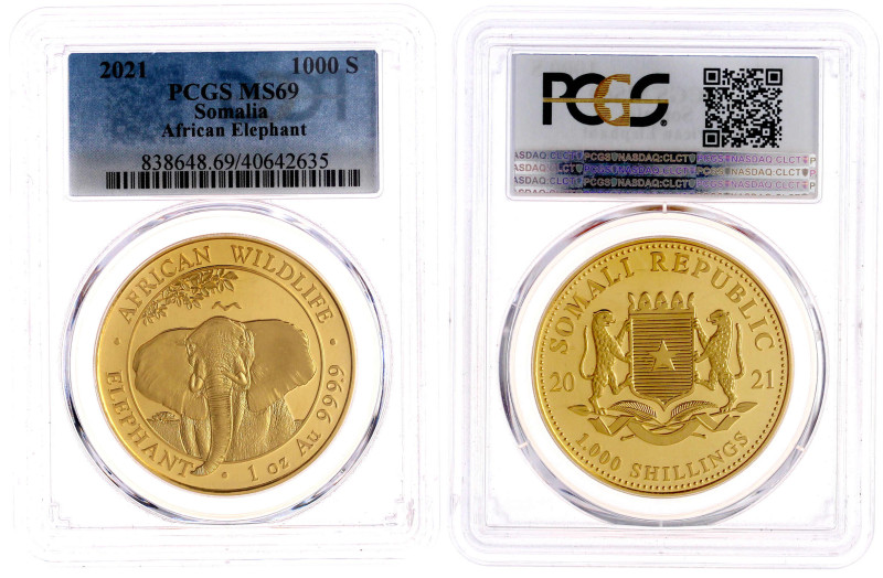 Somalia
Republik, seit 1960
1000 Shillings 2021, African Wildlife. Elefant. 1 ...