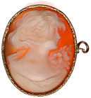 Broschen
Cameo-Brosche, Gelbgold 585 mit Damenbüste. 32 X 25 mm; 6,60 g