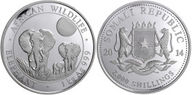 Somalia
Demokratische Republik, 1969 bis heute
2000 Schillings 1 Kilo Silbermünze 2014. African Wildlife Elefant. In Kapsel. Stempelglanz