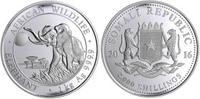 Somalia
Demokratische Republik, 1969 bis heute
2000 Schillings 1 Kilo Silbermünze 2016. African Wildlife Elefant. In Kapsel. Stempelglanz