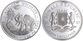 Somalia
Demokratische Republik, 1969 bis heute
2000 Schillings 1 Kilo Silbermünze 2017. African Wildlife Elefant. In Kapsel. Stempelglanz