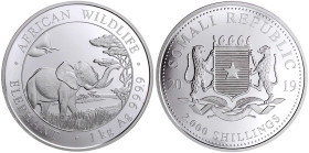 Somalia
Demokratische Republik, 1969 bis heute
2000 Schillings 1 Kilo Silbermünze 2019. African Wildlife Elefant. In Kapsel. Stempelglanz