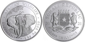 Somalia
Demokratische Republik, 1969 bis heute
2000 Schillings 1 Kilo Silbermünze 2021. African Wildlife Elefant. In Kapsel. Stempelglanz