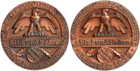 Drittes Reich
2 bronzierte Zinkmedaillen: 1938 Reichsprüfung für Milch und Milcherzeugnisse "Frischbutter", 60 mm; 1939 Reichsnährstands-Ausstellung ...