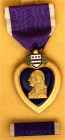 USA
Purple Heart am Band, im Originaletui. vorzüglich