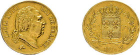 40 Francs 1818, Louis XVIII., Lille. Gadoury 1092, Fb. 536, Kratzer und kl. Randfehler, gereinigt, sehr schön.