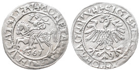 Baltikum, Litauen, Sigismund II. August von Polen 1545-1572, 1/2 Groschen 1561, Vilnius. 1,21 g. Kop. 3264. Attraktives Exemplar. Vorzüglich