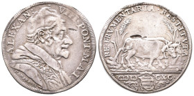 Italien Vatikan, Alexander VIII. Ottoboni 1689-1691, Testone 1690. 8,86 g. Kl. Schrötlingsfehler, Rand bearbeitet, sehr schön
