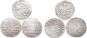 Polen, Sigismund I. 1506-1548, Groschen 1527, 1528 und 1529, Krakau. 3 Stück. Sehr schön