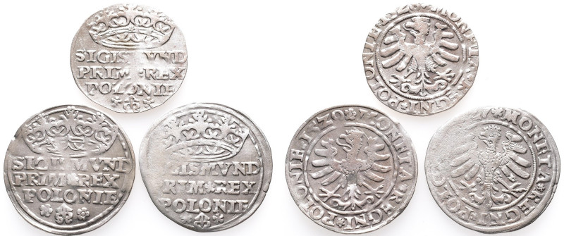 Polen, Sigismund I. 1506-1548, Groschen 1527, 1528 und 1529, Krakau. 3 Stück. Be...