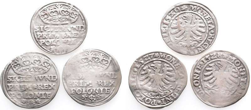 Polen, Sigismund I. 1506-1548, Groschen 1527, 1528 und 1529, Krakau. 3 Stück. Se...