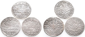 Polen, Sigismund I. 1506-1548, Groschen 1527, 1528 und 1529, Krakau. 3 Stück. Sehr schön