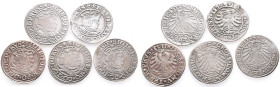 Polen, Sigismund I. 1506-1548, Groschen 1530, 1531, 1532, 1533, 1534. 5 Stück. Sehr schön