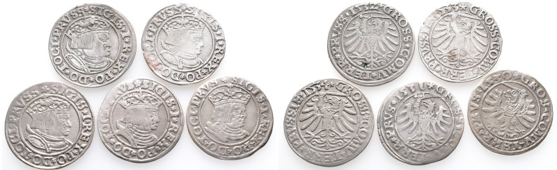 Polen, Sigismund I. 1506-1548, Groschen 1530, 1531, 1532, 1533, 1534. 5 Stück. K...