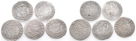 Polen, Sigismund I. 1506-1548, Groschen 1530, 1531, 1532, 1533, 1534. 5 Stück. Kl. Schrötlingsloch (1x), sehr schön
