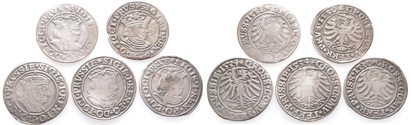 Polen, Sigismund I. 1506-1548, Groschen 1530 (2x), 1531, 1534 (2x). 5 Stück. Seh...