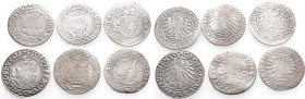 Polen, Sigismund I. 1506-1548, Groschen 1530 (2x), 1535 und Jahreszahl nicht lesbar (3x). 6 Stück. Schön-sehr schön