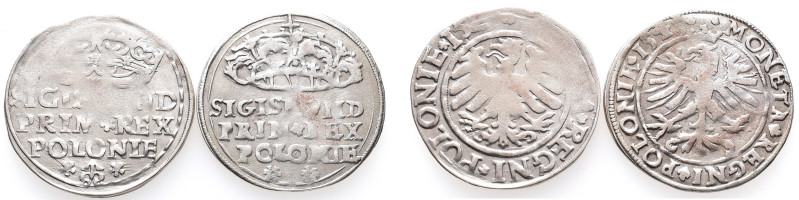 Polen, Sigismund I. 1506-1548, Groschen 15?? und 1545, Krakau. 2 Stück. Sehr sch...