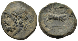 Italy, Apulia, Arpi, c. 325-275 BC. Æ (20,3mm,7.2g). Laureate head of Zeus l.; thunderbolt behind. R/ Wild boar r.; spear above. SNG ANS 639;SNG Franc...