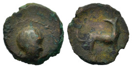 Sicily, Eryx, c. 415-413 BC. Æ Onkia (12,7mm,1.3g). Bearded head of male r; pellet (mark of value) behind neck. R/ Hound standing r., head l. Campana ...