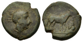 Sicily, Eryx, c. 330-260 BC. Æ Onkia(?) (17,5mm,5.2g). Female head r. R/ Horse standing r., l. foreleg raised; barley grain to r. Campana 48a; CNS 16/...