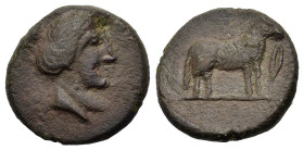 Sicily, Nakona, c. late 5th century BC. Æ (15,8mm,4.1g). Female head r. R/ Ram standing r.; barleycorn to r. Campana 5; CNS I, 5; SNG ANS -; HGC 2, 96...