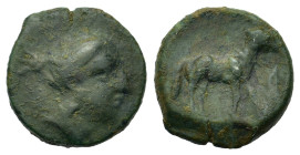 Sicily, Nakona, c. late 5th century BC. Æ (12.9mm,2g). Female head r. R/ Ram standing r.; barleycorn to r. Campana 5; CNS I, 5; SNG ANS -; HGC 2, 962....