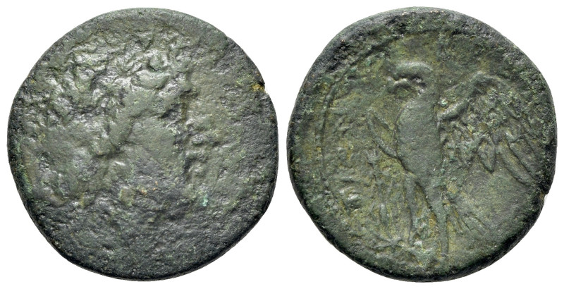 Sicily, Syracuse. Hiketas II (287-278 BC). Æ (20mm, 6.41g, 6h), c. 283-279. Laur...