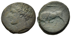 Sicily, Syracuse. Hieron II (275-215 BC). Æ (19,4mm,5.9g). Head of Kore l. R/ Bull charging l. Calciati 192; SNG ANS 586.