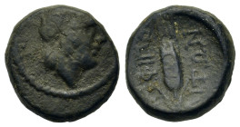 Macedon, Amphipolis, after 148 BC. Æ (15,4mm,5.3g). Head of Demeter to r., wreathed with grain. R/ Grain ear; AMΦΙΠO-ΛΙΤΩΝ above and below. HGC 3.1, 4...